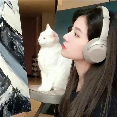 爱上查美乐